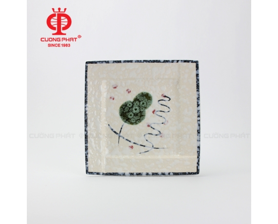 Fun Dĩa vuông 16.5